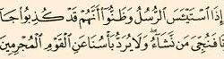 حَتَّى إِذَا اسْتَيْأَسَ الرُّسُلُ وَظَنُّواْ أَنَّهُمْ قَدْ كُذِبُواْ جَاءهُمْ نَصْرُنَا 