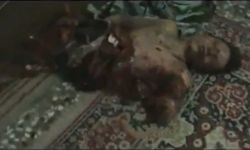 أخبار يوم الثلاثاء 20-12-2011م